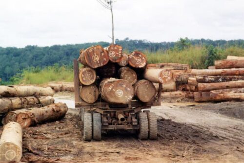 Central African Republic-Log transport – Wikipedia 