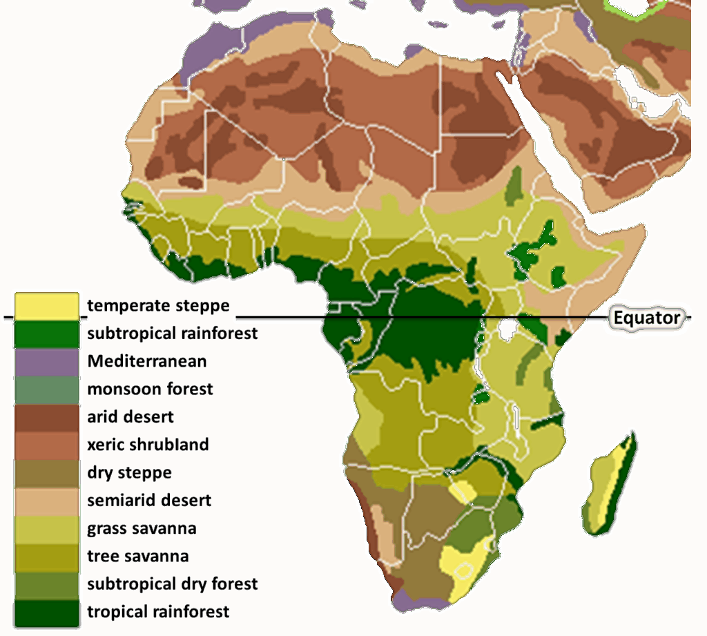 Introduction to the Tropical Forests of Africa – International Society ...